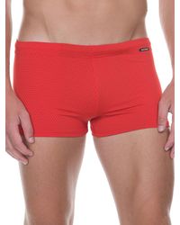 Bruno Banani Monochrome: Badeshort, rot - vergleichen und günstig kaufen